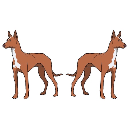Signmission Pharaoh Hound Dog Decal, Dog Lover Decor Vinyl Sticker D-18-Pharaoh Hound